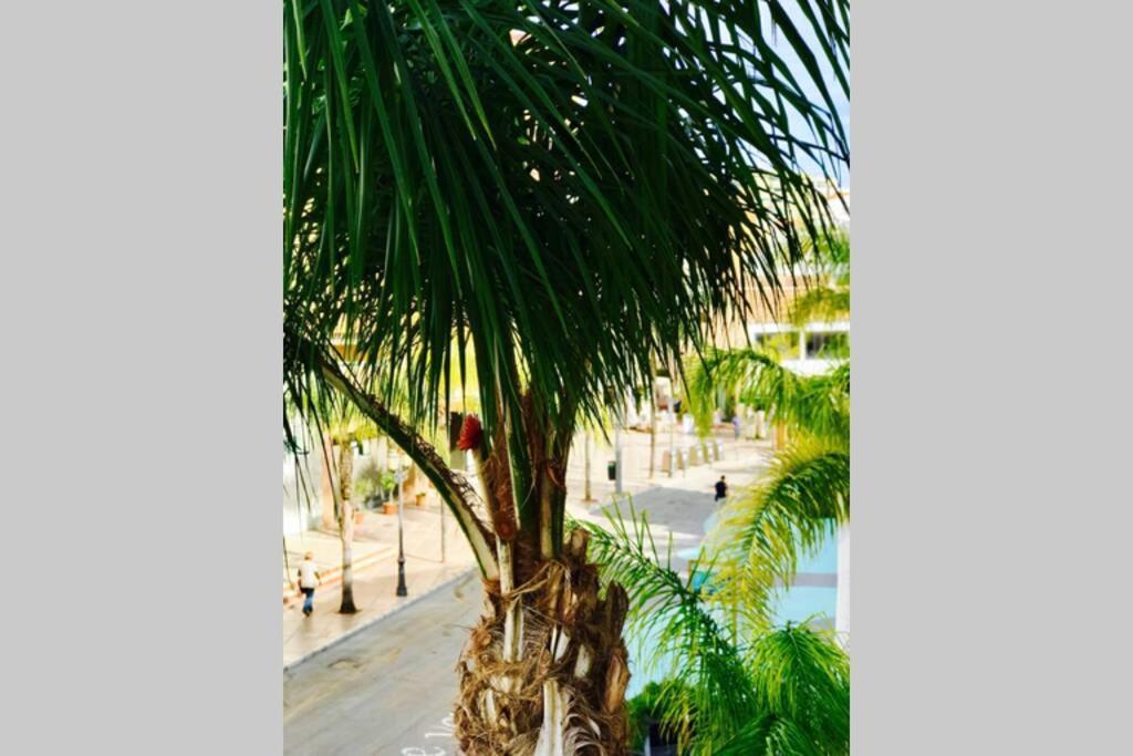 Begonia City Center Apartment 230 By Namaste Elite Torremolinos Exteriör bild